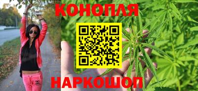 стаф Донецк