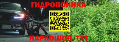 стаф Донецк