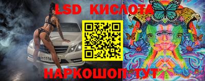 стаф Донецк
